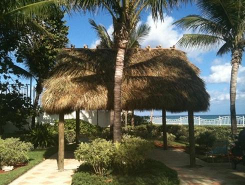 Tides Apt On Hollywood Beach מראה חיצוני תמונה